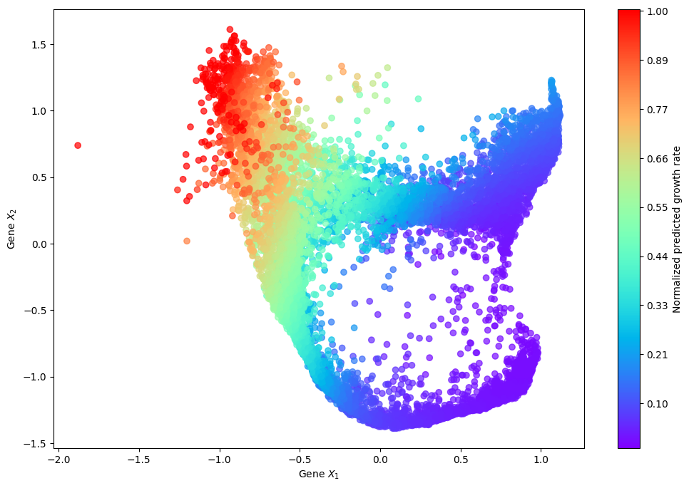 ../_images/notebook_Mouse_hematopoiesis_13_0.png