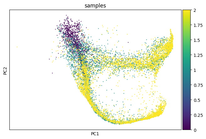 ../_images/notebook_Mouse_hematopoiesis_19_2.png